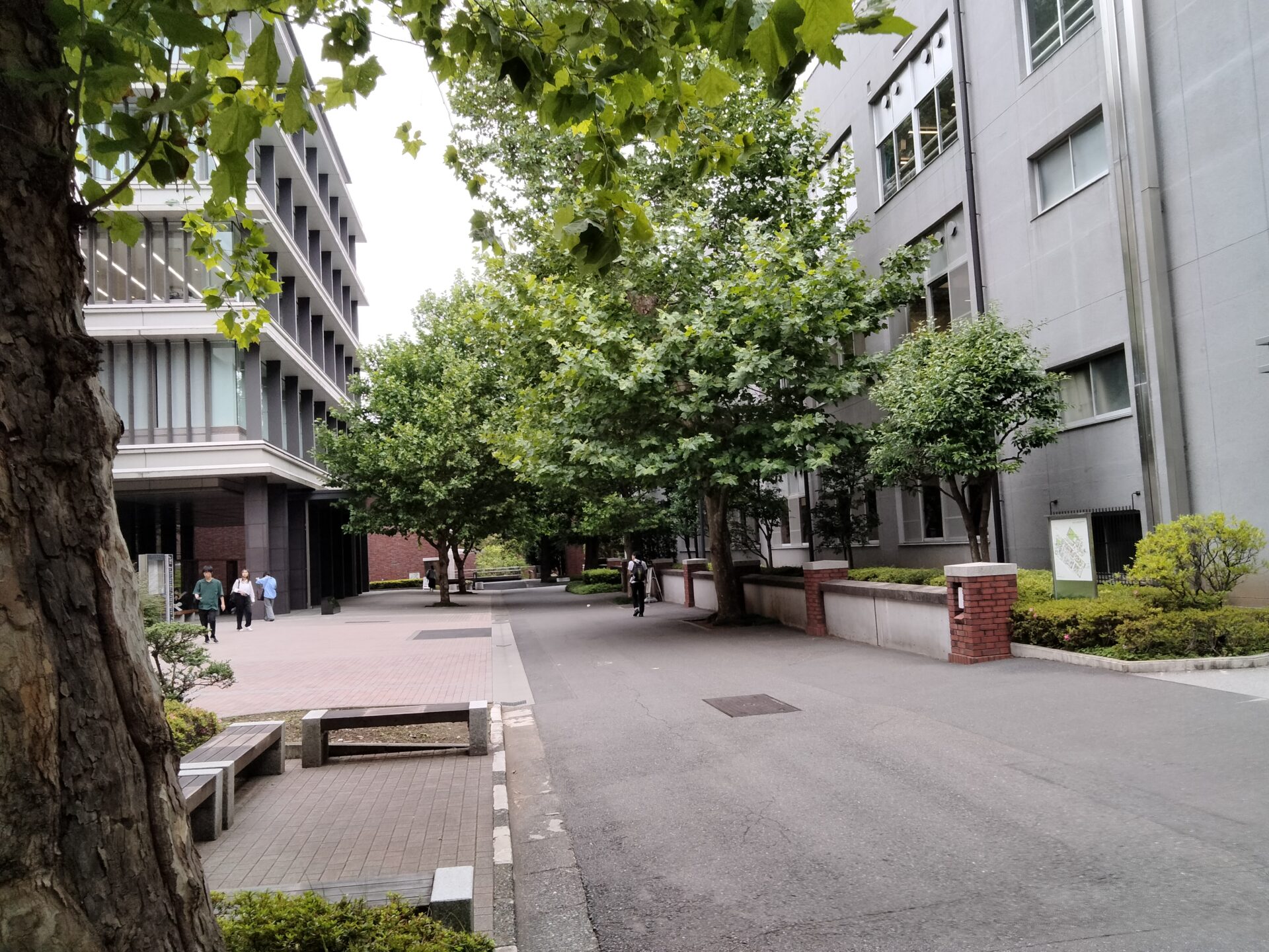 立教大学